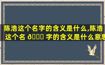 陈浩这个名字的含义是什么,陈浩这个名 🐋 字的含义是什么意思